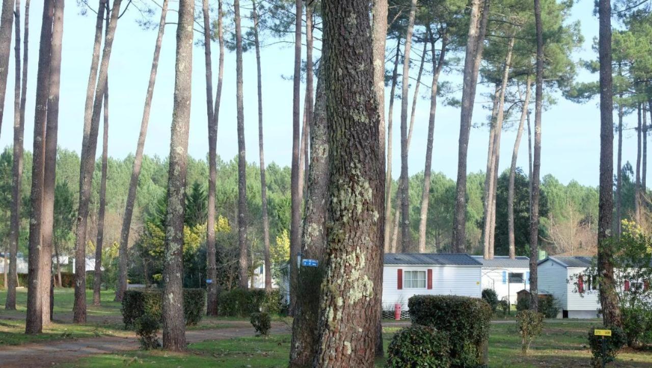 Mobil Home Rainbow, Camping Les Dunes De Contis サン・ジュリアン・アン・ボルヌ 部屋 写真
